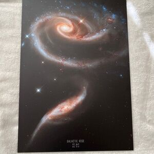 Displate Galactic Rose metal poster